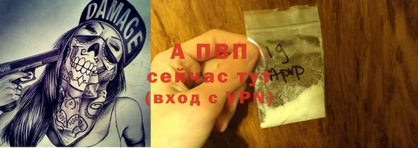 спиды Медвежьегорск