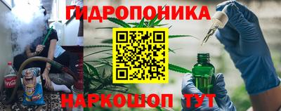 индика Ливны