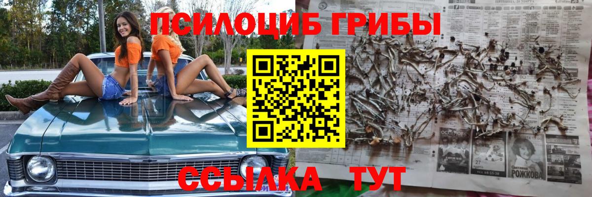 Сосновоборск  где купить   Вход с VPN  Псилоцибиновые грибы прущие грибы  Галлюциногенные грибы Magic Shrooms 