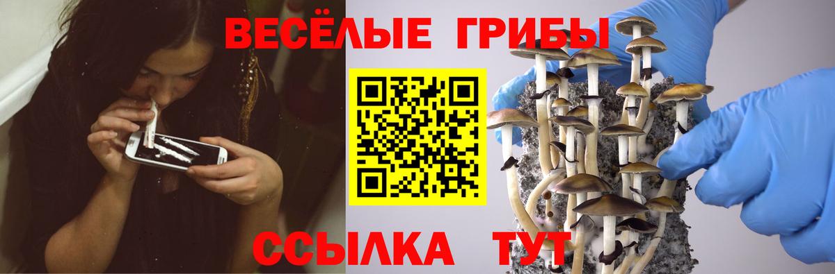 Псилоцибиновые грибы GOLDEN TEACHER Сосновоборск